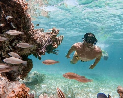 Marinarium Snorkeling Cruise Punta Cana
