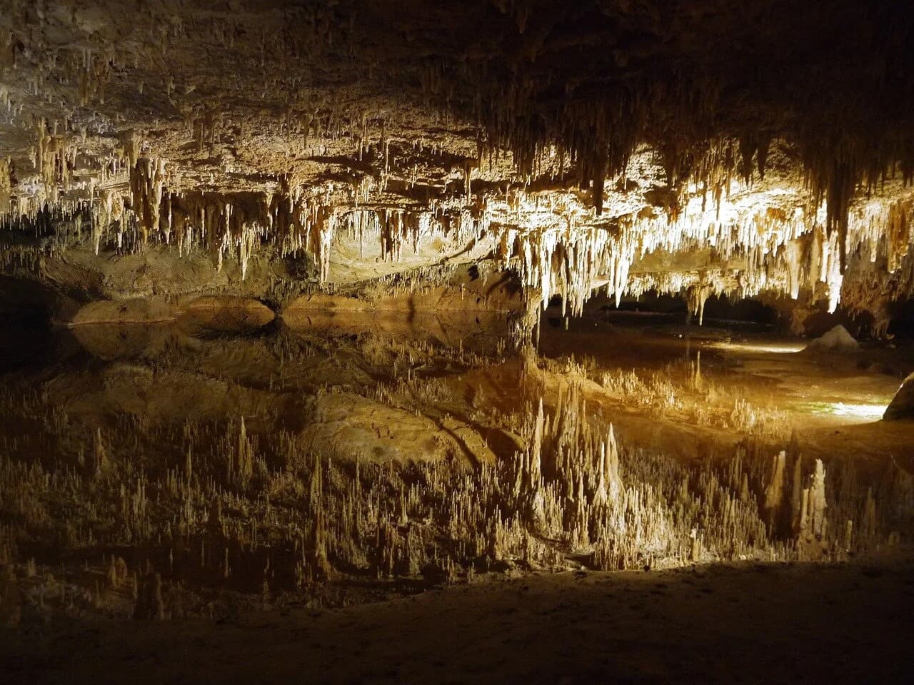 Cave Expedition (Iguabonita Cave