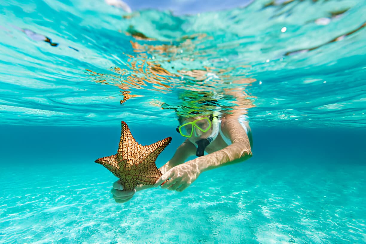 Saona Island Full Day Tour from Punta Cana